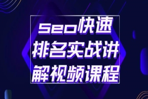 seo快速排名实战讲解视频课程，揭秘seo快排原理-臭虾米项目网