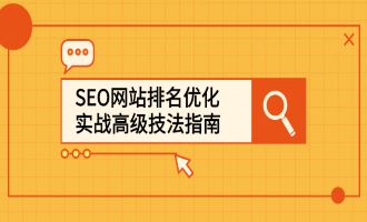 SEO网站排名优化实战高级技法指南，从0到1快速到百度或任何搜索引擎首页-臭虾米网