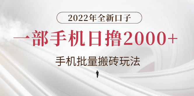 2022年全新口子，手机批量搬砖玩法，一部手机日撸2000+-臭虾米项目网