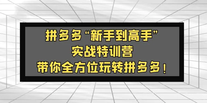 图片[1]-拼多多“新手到高手”实战特训营：带你全方位玩转拼多多！-臭虾米项目网