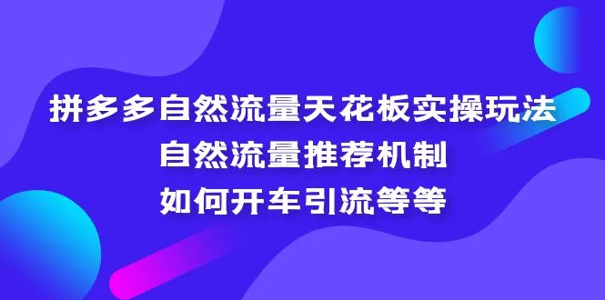 图片[1]-拼多多自然流量天花板实操玩法：自然流量推荐机制，如何开车引流等等-臭虾米项目网