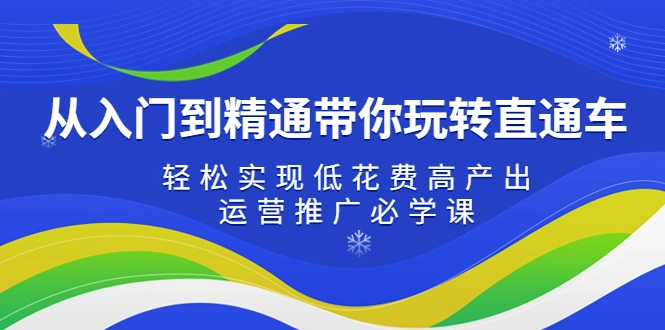 图片[1]-从入门到精通带你玩转直通车：轻松实现低花费高产出，35节运营推广必学课-臭虾米项目网