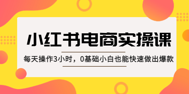 小红书·电商实操课：每天操作3小时，0基础小白也能快速做出爆款！-臭虾米项目网