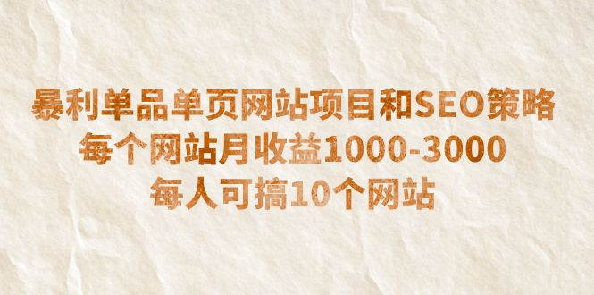 暴利单品单页网站项目和SEO策略 每个网站月收益1000-3000 每人可搞10个-臭虾米项目网