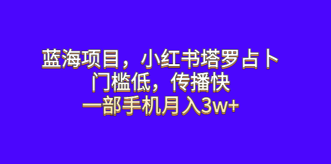 蓝海项目，小红书塔罗占卜，门槛低，传播快，一部手机月入3w+-臭虾米项目网