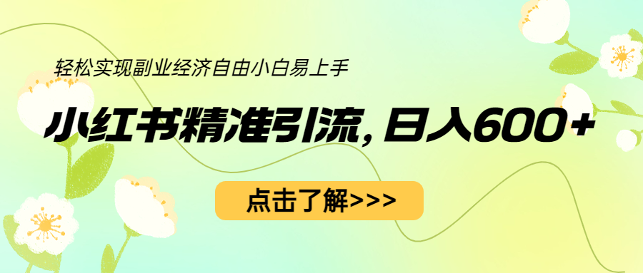 小红书精准引流，小白日入600+，轻松实现副业经济自由（教程+1153G资源）-臭虾米项目网