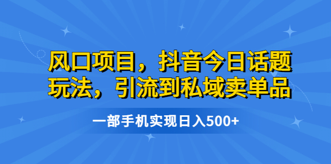 风口项目，抖音今日话题玩法，引流到私域卖单品，一部手机实现日入500+-臭虾米项目网