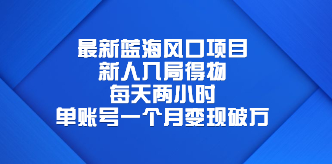 最新蓝海风口项目，新人入局得物，每天两小时，单账号一个月变现破万-臭虾米项目网