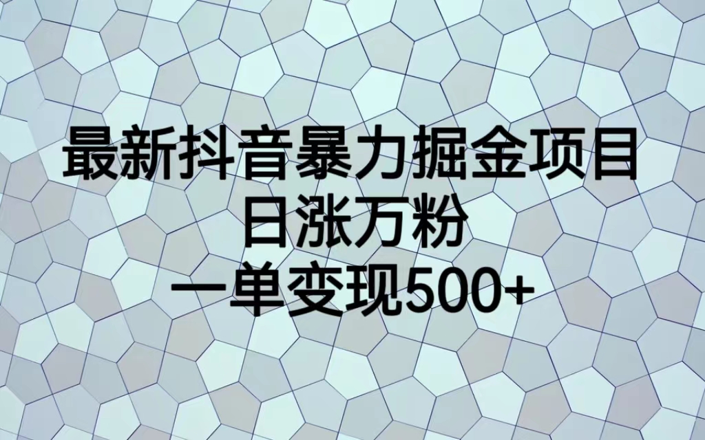 最新抖音暴力掘金项目，日涨万粉，一单变现500+-臭虾米项目网