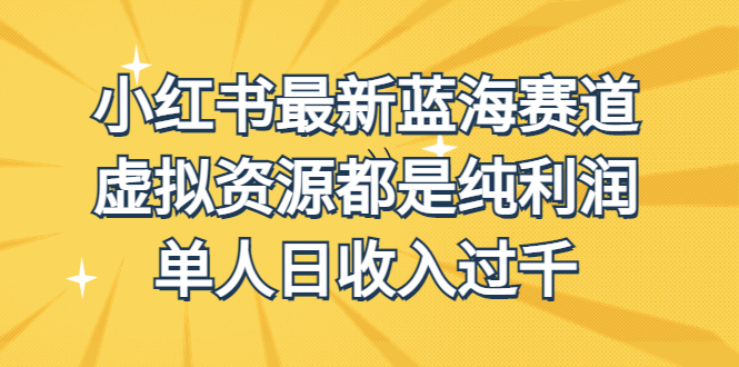 外面收费1980的小红书最新蓝海赛道，虚拟资源都是纯利润，单人日收入过千-臭虾米项目网