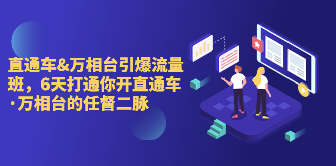 直通车+万相台引爆流量班，6天打通你开直通车·万相台的任督 二脉-臭虾米项目网