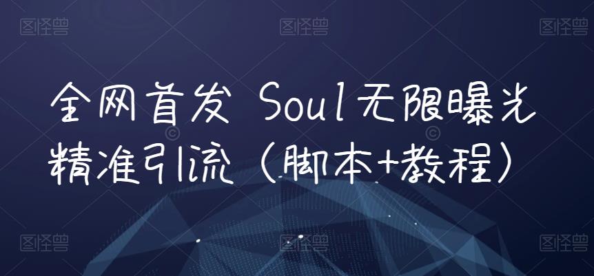 全网首发 Soul无限曝光精准引流（脚本+教程）-臭虾米项目网