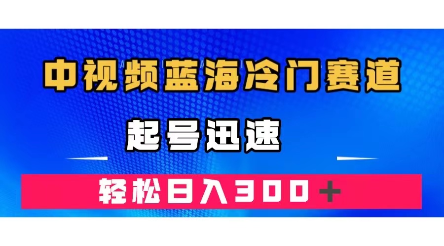 中视频蓝海冷门赛道，韩国视频奇闻解说，起号迅速，日入300＋-臭虾米项目网