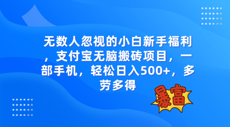 无数人忽视的项目，支付宝无脑搬砖项目，一部手机即可操作，轻松日入500+-臭虾米项目网