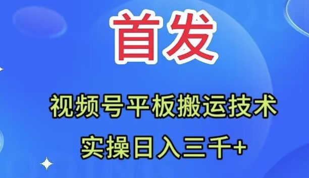 全网首发：视频号平板搬运技术，实操日入三千＋-臭虾米项目网