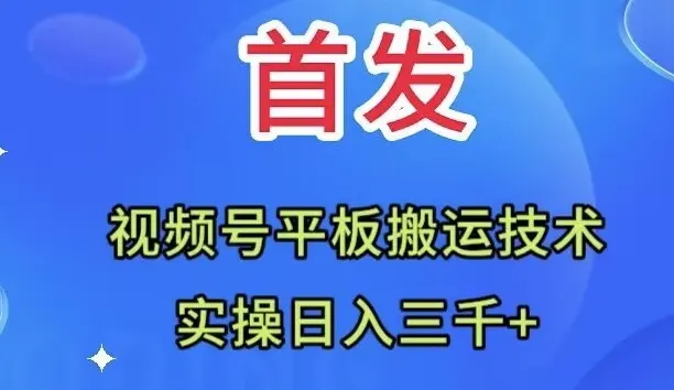 图片[1]-全网首发：视频号平板搬运技术，实操日入三千＋-臭虾米项目网