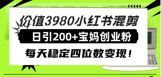 价值3980小红书混剪日引200+宝妈创业粉，每天稳定四位数变现！-臭虾米项目网