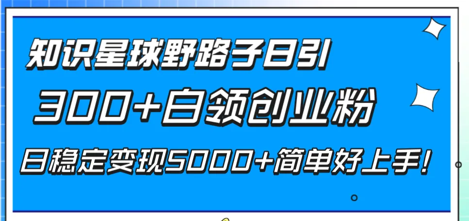 图片[1]-知识星球野路子日引300+白领创业粉，日稳定变现5000+简单好上手！-臭虾米项目网