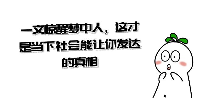 某公众号付费文章《一文 惊醒梦中人，这才是当下社会能让你发达的真相》-臭虾米项目网