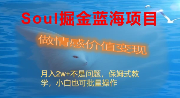 Soul掘金蓝海项目细分赛道，做情感价值变现，月入2w+不是问题-臭虾米项目网