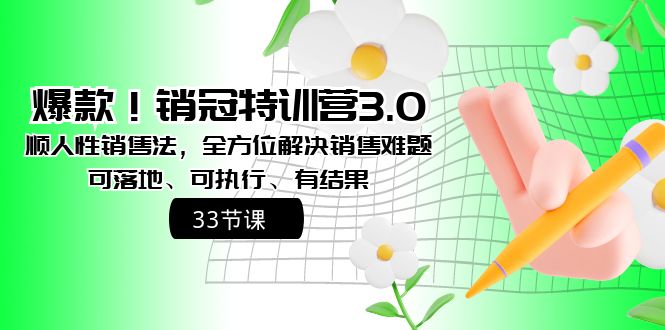 爆款！销冠特训营3.0之顺人性销售法，全方位解决销售难题、可落地、可执行、有结果-臭虾米项目网