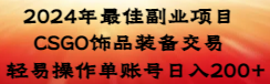 2024年最佳副业项目 CSGO饰品装备交易 轻易操作单账号日入200+-臭虾米项目网