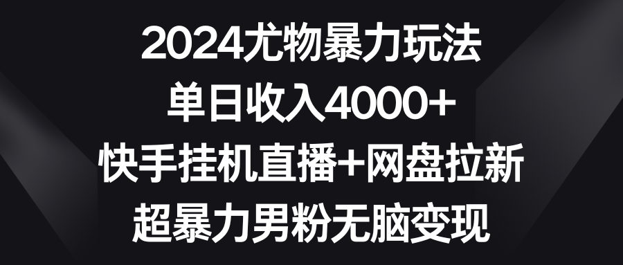 2024尤物暴力玩法 单日收入4000+快手挂机直播+网盘拉新 超暴力男粉无脑变现-臭虾米项目网