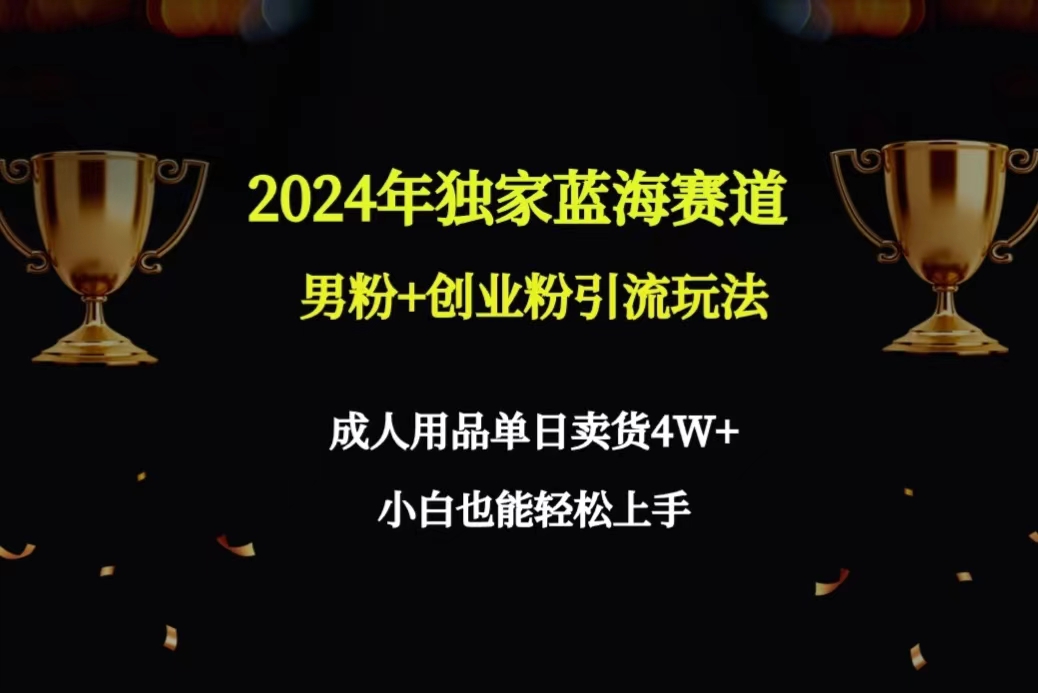 2024年独家蓝海赛道男粉+创业粉引流玩法，成人用品单日卖货4W+保姆教程-臭虾米项目网