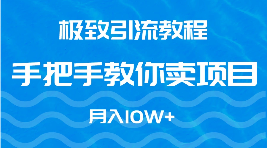 图片[1]-极致引流教程，手把手教你卖项目，月入10W+-臭虾米项目网