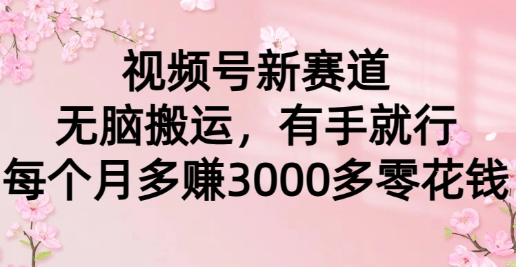 图片[1]-视频号新赛道，无脑搬运，有手就行，每个月多赚3000多零花钱-臭虾米项目网