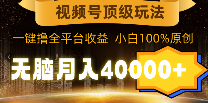 视频号顶级玩法，无脑月入40000+，一键撸全平台收益，纯小白也能100%原创-臭虾米项目网