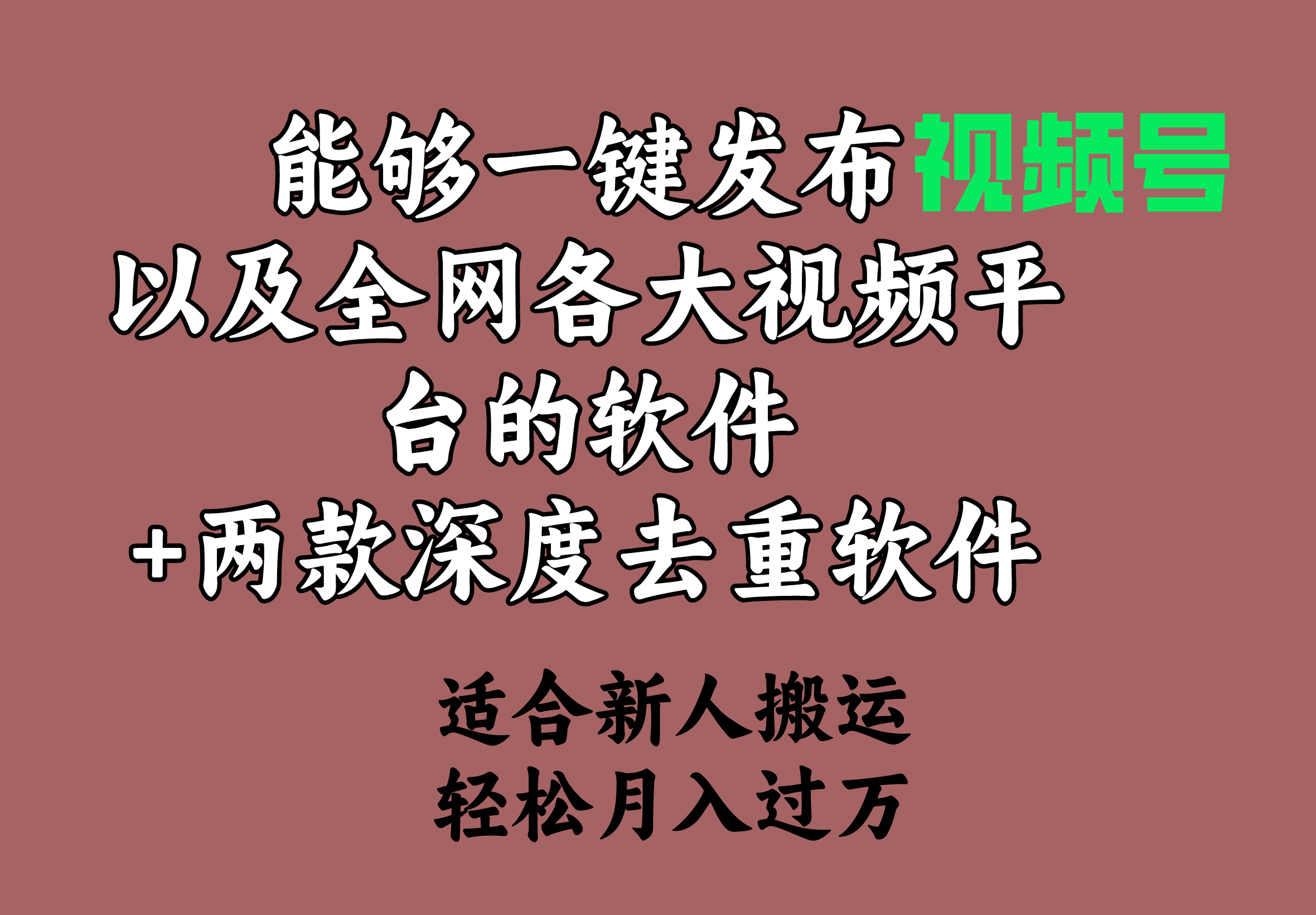 能够一键发布视频号以及全网各大视频平台的软件+两款深度去重软件-臭虾米项目网