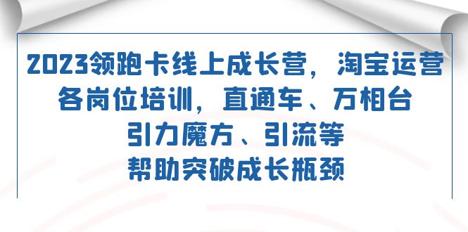 2023年领跑者：淘宝运营各岗位全面培训 | 淘宝运营课程汇总-臭虾米项目网