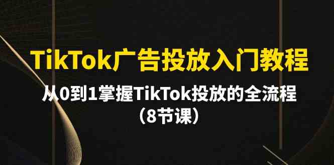 TikTok广告投放全面解析：从零基础到精通，掌握TikTok广告投放的终极教程-臭虾米项目网