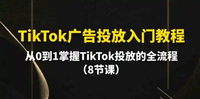 图片[1]-TikTok广告投放全面解析：从零基础到精通，掌握TikTok广告投放的终极教程-臭虾米项目网