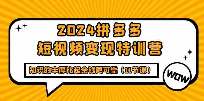 图片[1]-拼多多短视频变现特训营：掌握关键技能，实现轻松赚钱！-臭虾米项目网