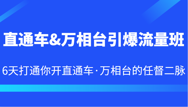 掌握直通车&万相台流量秘籍：6天速成引爆销售的必备技能-臭虾米项目网