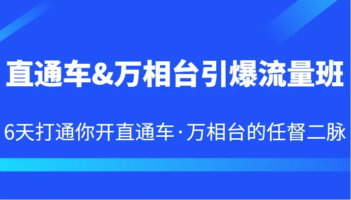 图片[1]-掌握直通车&万相台流量秘籍：6天速成引爆销售的必备技能-臭虾米项目网