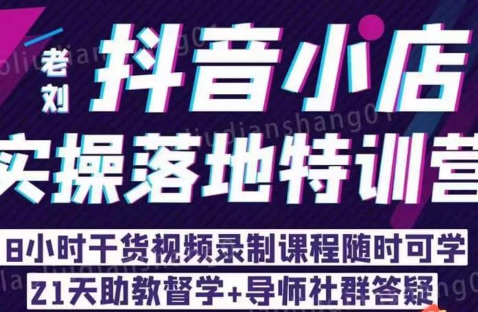 实战抖音小店运营技巧：8小时电商实操培训，助你掌握爆款商品策略！-臭虾米项目网