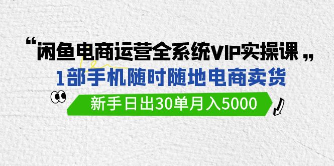 闲鱼电商运营全系统VIP实战课：1部手机成就5000月入，新手必修指南！-臭虾米项目网