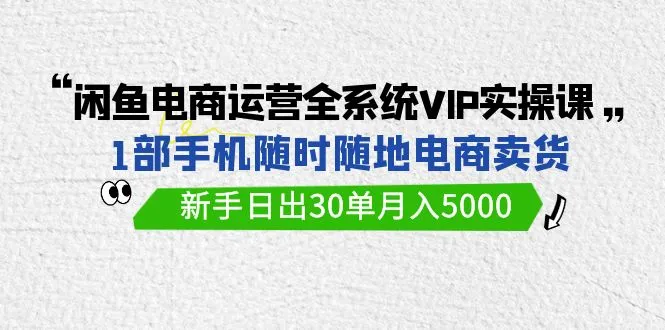 图片[1]-闲鱼电商运营全系统VIP实战课：1部手机成就5000月入，新手必修指南！-臭虾米项目网