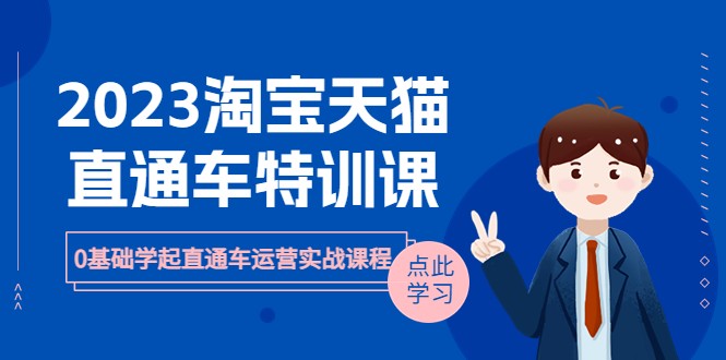 2023年淘宝天猫直通车运营实战课程：从零开始学习-臭虾米项目网