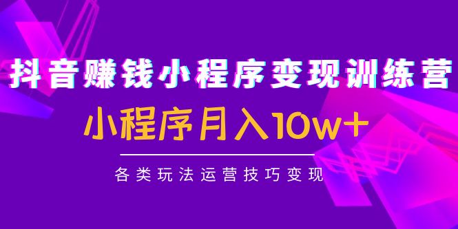 掌握抖音小程序变现技巧：实战训练营揭示月入10w 秘籍-臭虾米项目网