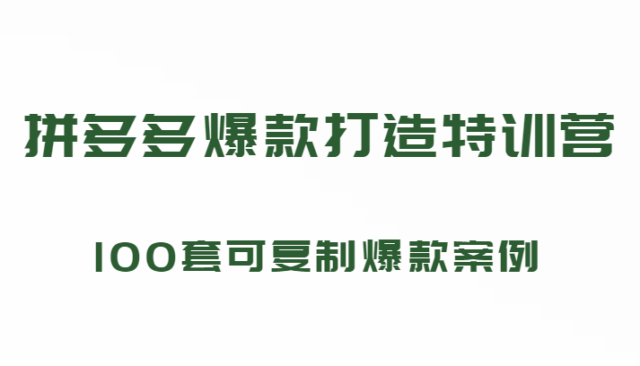 199元拼多多的爆款打造课程：100套可复制的爆款案例（持续更新）-臭虾米项目网