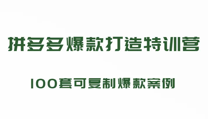 图片[1]-199元拼多多的爆款打造课程：100套可复制的爆款案例（持续更新）-臭虾米项目网