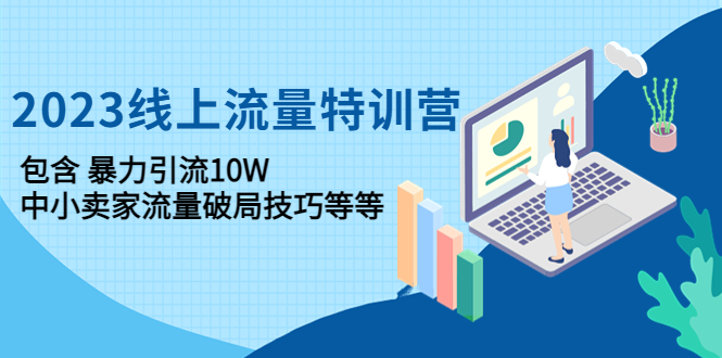 2023线上流量特训营：暴力和技巧助力中小网店突破万流-臭虾米项目网