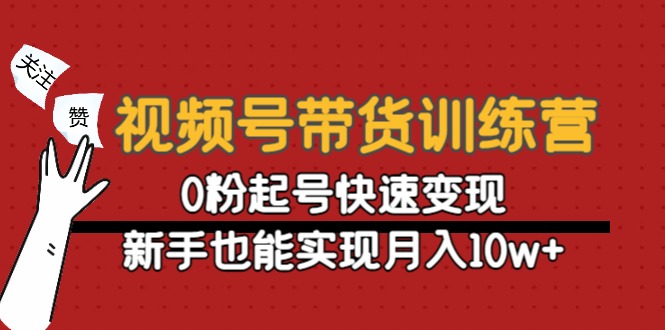 视频号电商变现训练营：从0粉到月入10w ，实现快速起号和持续盈利-臭虾米项目网