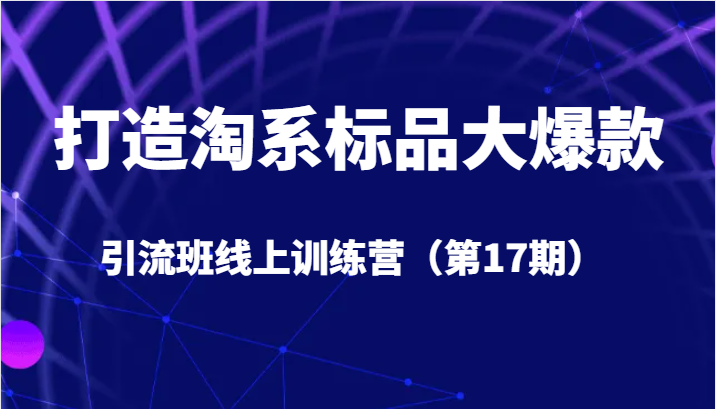 打造淘系标品大爆款引流班：视频号直播带货算法解析与实操筒-臭虾米项目网