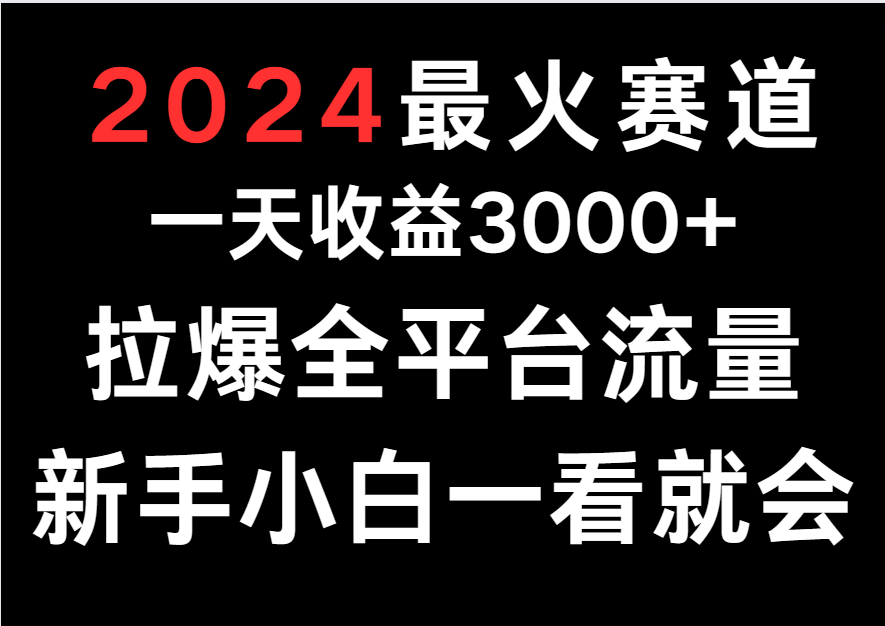 揭秘2024年最火赛道：一天轻松赚取3000 ，助你轻松拉爆全平台流量！-臭虾米项目网