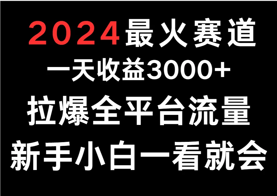 图片[1]-揭秘2024年最火赛道：一天轻松赚取3000 ，助你轻松拉爆全平台流量！-臭虾米项目网